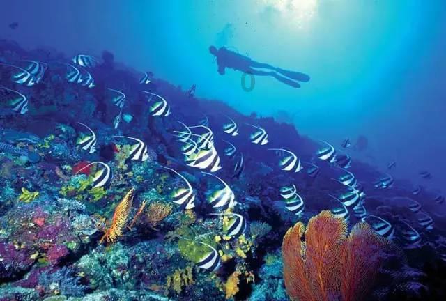 文咏珊谈两个人生重大转折点，自曝真实个性并不飒丨研究院